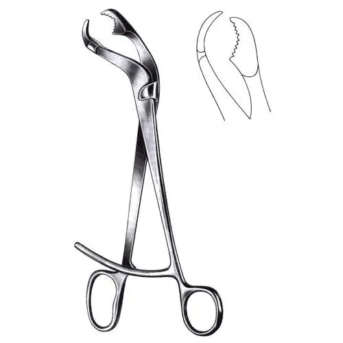 Scarf Type Clamp
